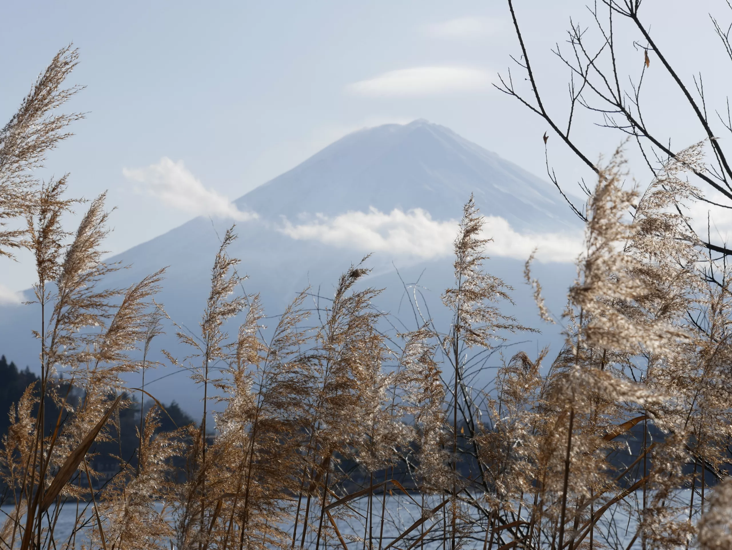 Jednodenní výlet k hoře Fuji a Lake Kawaguchi - Cestování po Japonsku - Petr Sycha