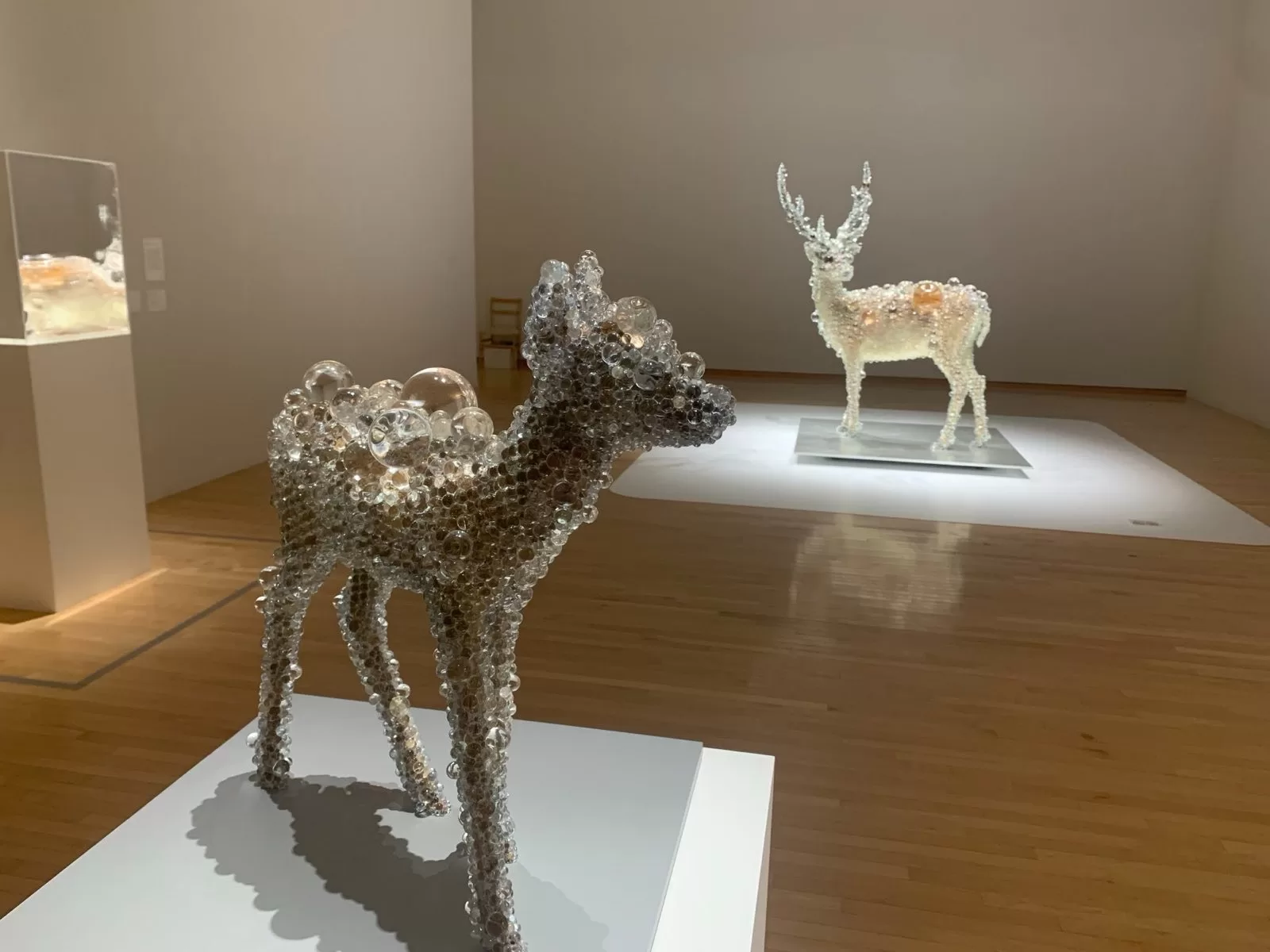 Muzeum moderního umění v Tokiu - Cestování po Japonsku - Petr Sycha