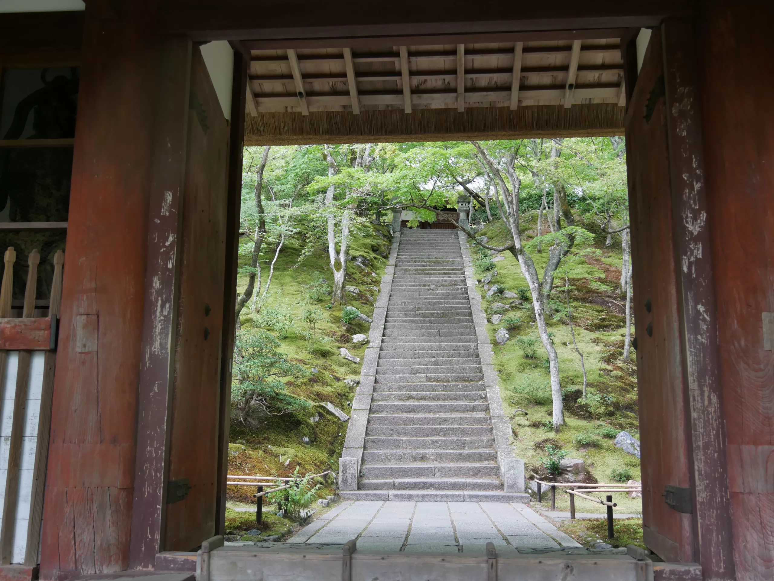 Opičí park na hoře Arashiyama v Kjótu - Cestování po Japonsku - Petr Sycha