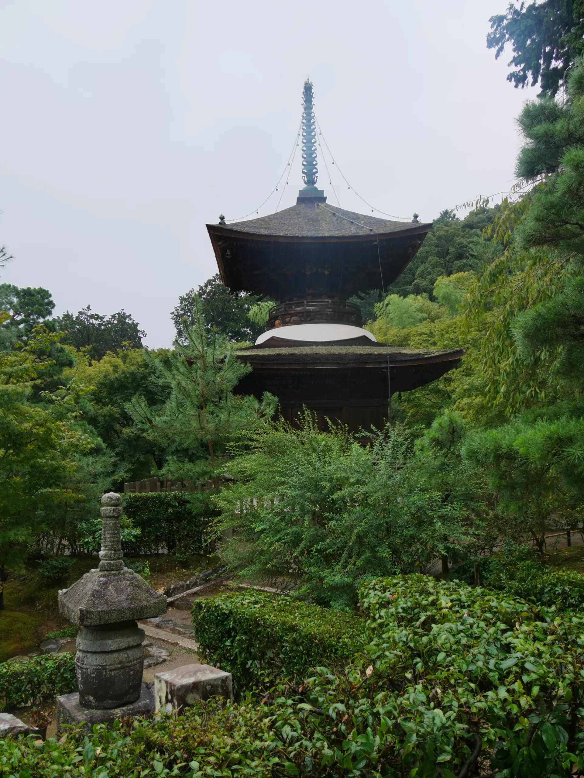 Opičí park na hoře Arashiyama v Kjótu - Cestování po Japonsku - Petr Sycha