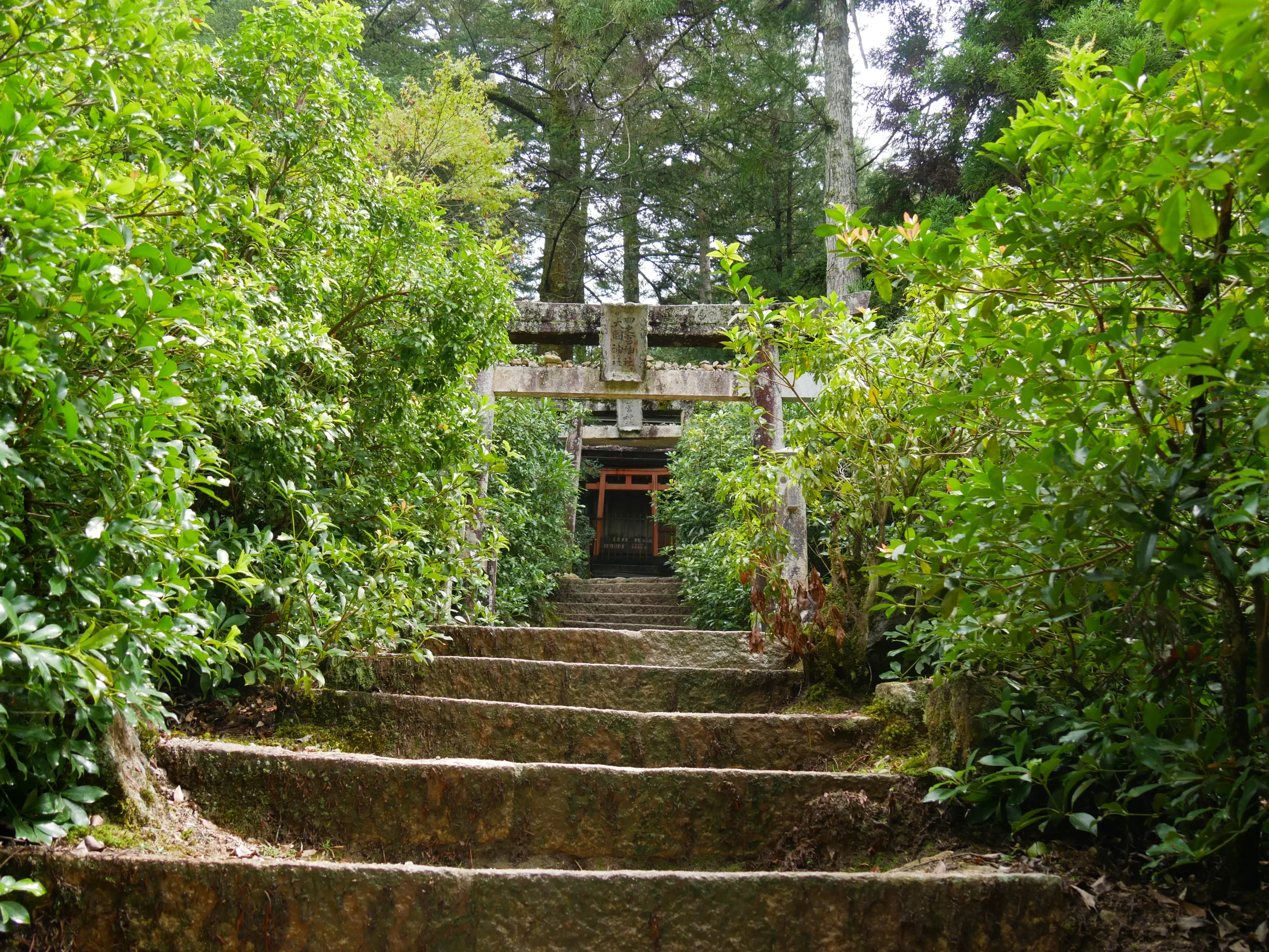 Nejznámější brána Torii na ostrově Itsukushima - Cestování po Japonsku - Petr Sycha