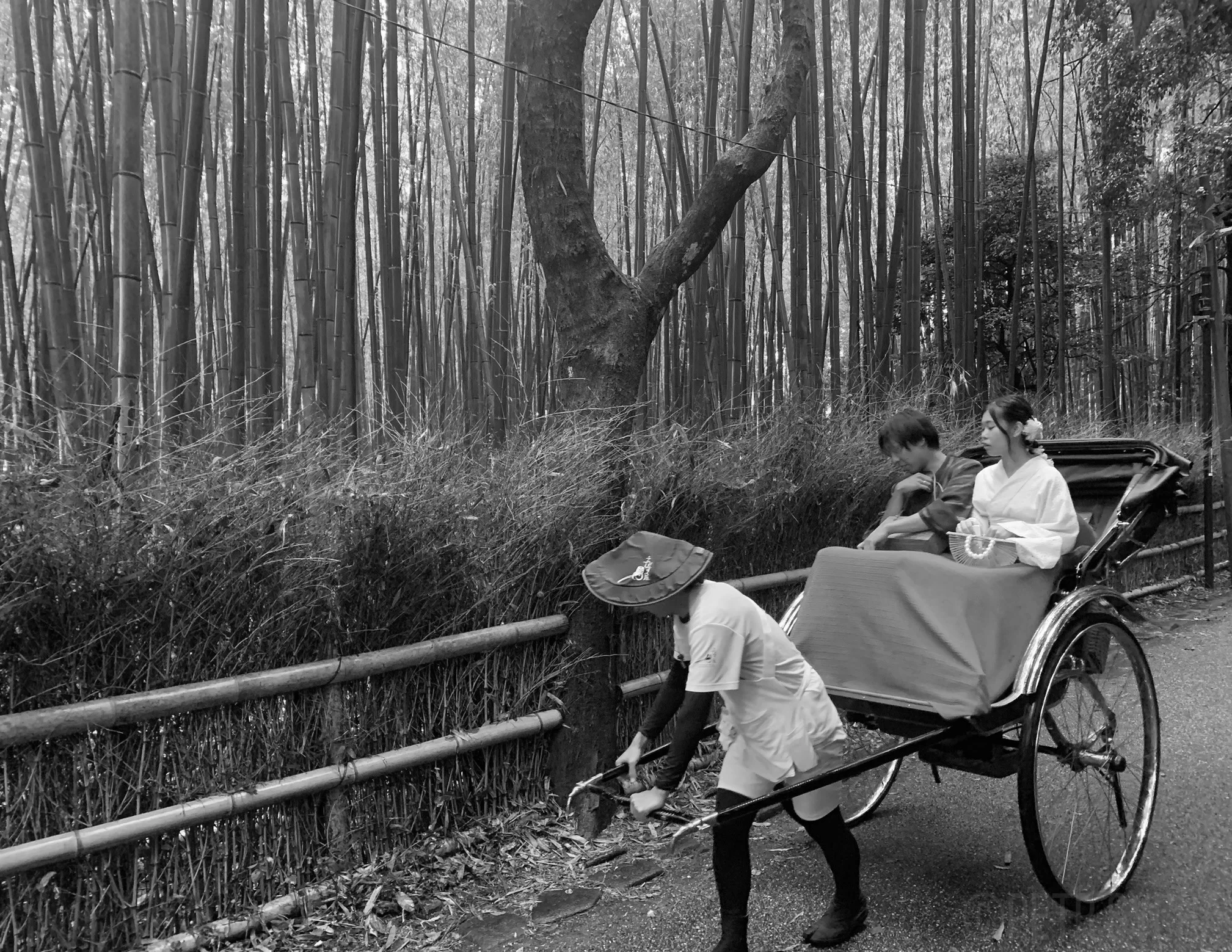 Homepage - Cestování po Japonsku - Petr Sycha